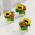 Order Sunflower Breakaway