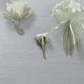 Order Stephanotis Boutonniere